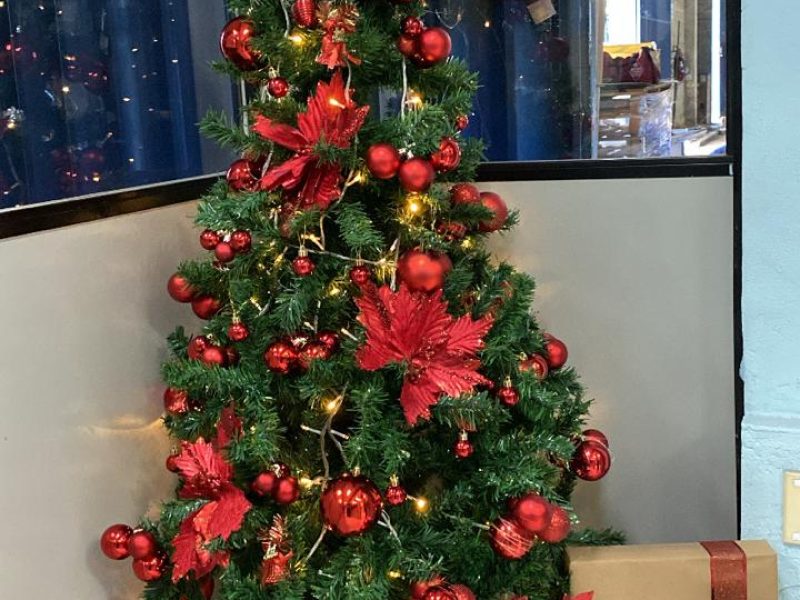 Imagem do WhatsApp de 2025-12-01 à(s) 09.27.26_fdb507a6